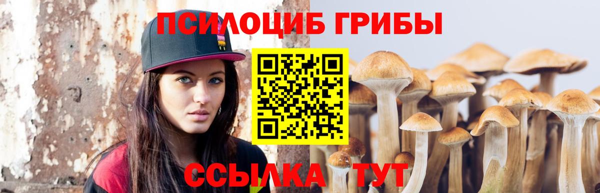 Галлюциногенные грибы Magic Shrooms  Псилоцибиновые грибы мухоморы  Соль-Илецк  где можно купить   Вход с VPN 